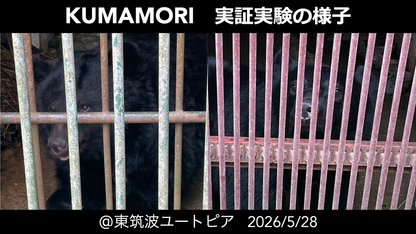 熊よけ音源「くまもり#01」ダウンロード版